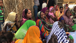 Artists for Human Rights